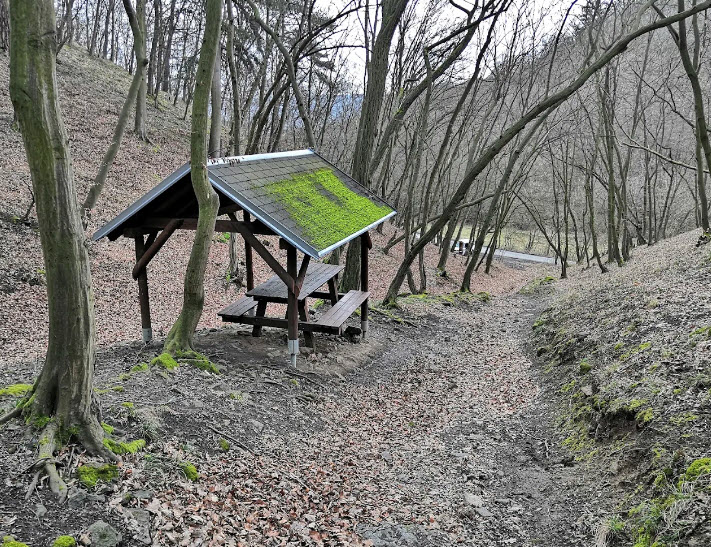 Remains of Karlík Castle, Czech Republic (Czechia)